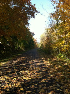 The Rail Trail, last fall